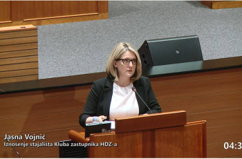 Vojnić: „Ako Hrvatska pokazuje demokratsku zrelost prema manjinama, i Srbija bi trebala isto“