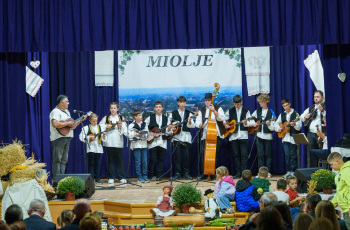 Miholjski koncert u Novom Slankamenu