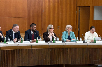 Jasna Vojnić na sjednici Savjeta za manjine: Ključni izazovi financiranje i politička zastupljenost