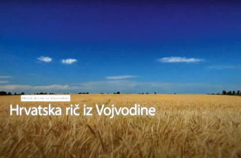  Za devet godina 100 emisija