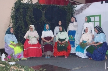 Kad se Šokci razdivanu