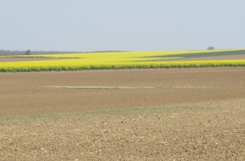 Unatoč mjerama, posao završen na vrijeme