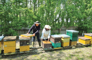 Medena priča duga 30 godina 