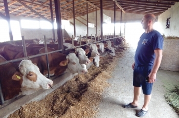 Obiteljska farma Benčik