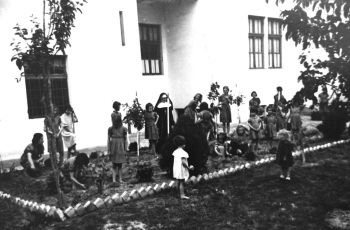 Borba za djecu i sestre