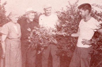 Od deset dolara do plantaže s 300 hektara borovnica