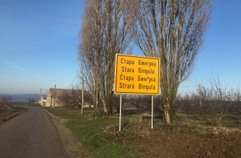 Priroda u borbi protiv pandemije