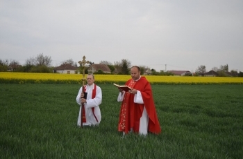 Blagoslovom žita započela 110. Dužijanca