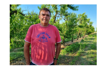 Voćnjaci breskve ove godine bez roda