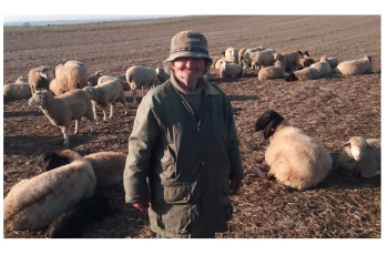 Kako bih ja mogao živjeti bez mojih ovaca