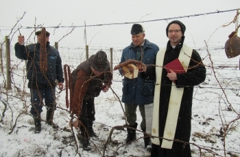 U spomen na rodne vinograde