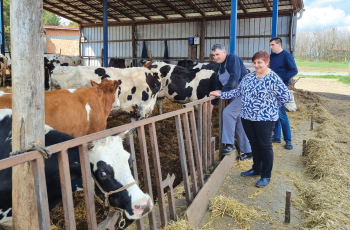Treća generacija Peića u mliječnom govedarstvu