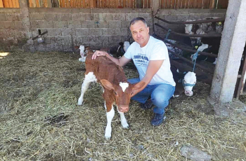 Veterinar s vizijom i posvećenošću