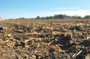 Je li jesen odredila ljetinu?