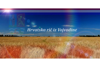 »Hrvatska rič iz Vojvodine« na »Vinkovačkoj televiziji« 