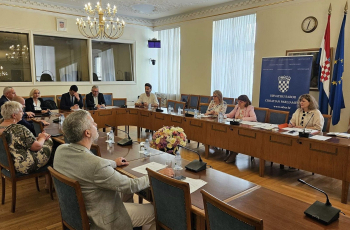 Jasna Vojnić u saborskom Odboru za Hrvate izvan Hrvatske