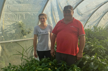»Na nečemu izgubiš, na nečemu dobiješ«