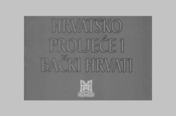 Kao feniks iz pepela…
