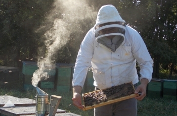 Od hobija do posla od kojeg se živi