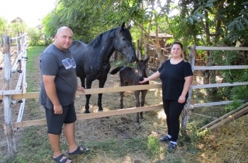 Ljubav prema psima i konjima