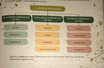 Učenici osmih razreda uče da hrvatski jezik ne postoji