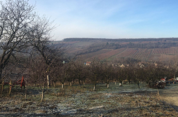 Najisplativiji izravni izvoz u Rusiju