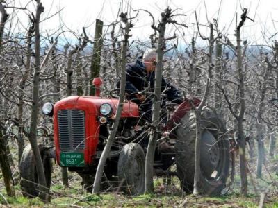 Izdvajanja za poljoprivredu: Kako napuniti agrarnu kasu