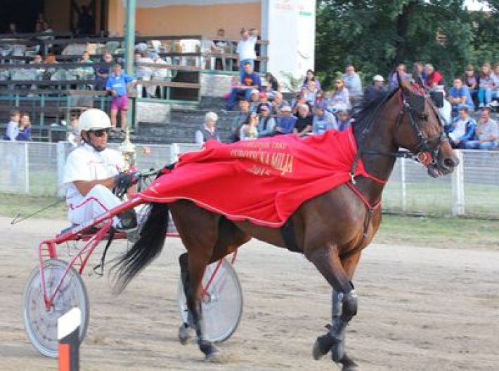 Gruccione pobjednik Subotičke milje