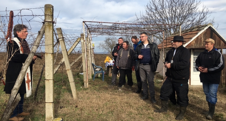 Nastavak tradicije u jedinom preostalom vinogradu