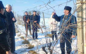  - (Blagdan Svetog Vinka u Rumi  / )