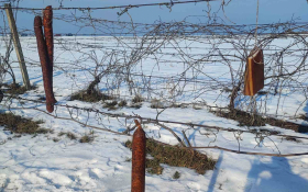  - (Blagdan Svetog Vinka u Rumi  / )