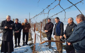  - (Blagdan Svetog Vinka u Rumi  / )