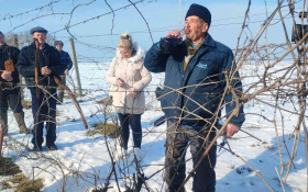  - (Blagdan Svetog Vinka u Rumi  / )