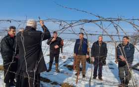  - (Blagdan Svetog Vinka u Rumi  / )