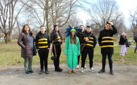 Karneval u Petrovaradinu