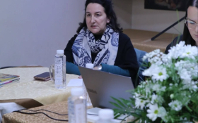 Sjednica Vijeća u Maloj Bosni