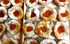  - (Krafnijada u Petrovaradinu / )