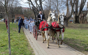 Karneval u Petrovaradinu