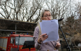 Karneval u Petrovaradinu