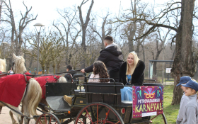 Karneval u Petrovaradinu