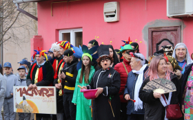 Karneval u Petrovaradinu