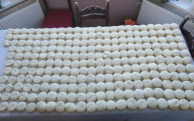  - (Krafnijada u Petrovaradinu / )