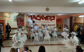  - (Mačkare u Golubincima  / )