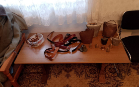  - (Pokladni običaji u Starčevu / )