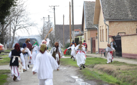  - (Tute u Plavni / )