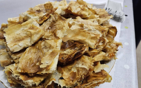  - (HKUD »Vladimir Nazor« u Osijeku / )