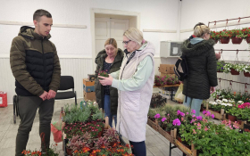  - (Uskršnji market u Monoštoru / )