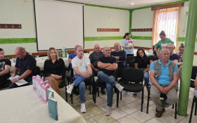 Dani A. G. Matoša u Plavni