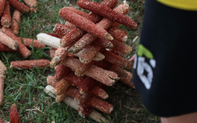  - (Mali čuvari velikog blaga / )