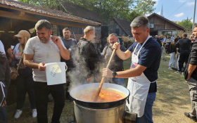  - (XVI. »Tavankutski festival voća i autohtonih  / )